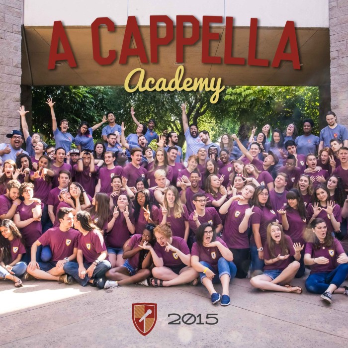 a-cappella-academy-2015