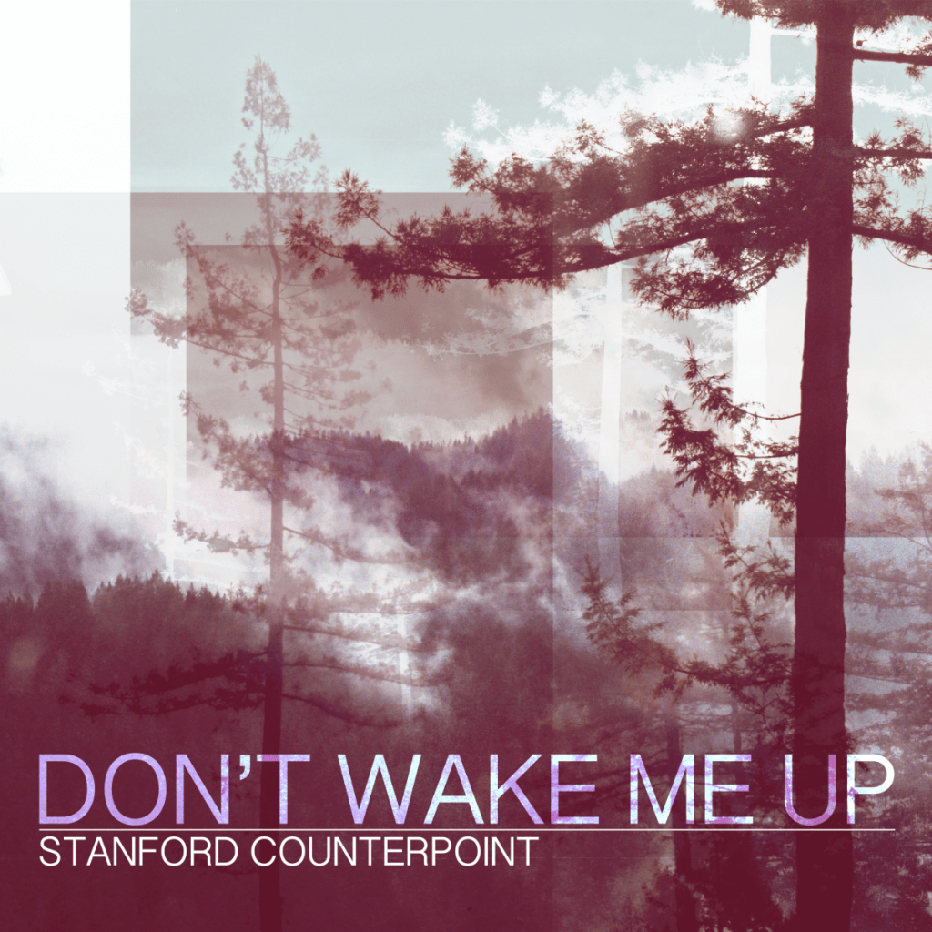 Don’t Wake Me Up –&nbsp;Counterpoint